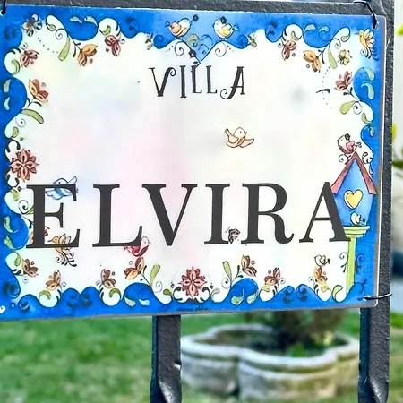 Elvira Fronte Di By Gottschalk * 데르비오